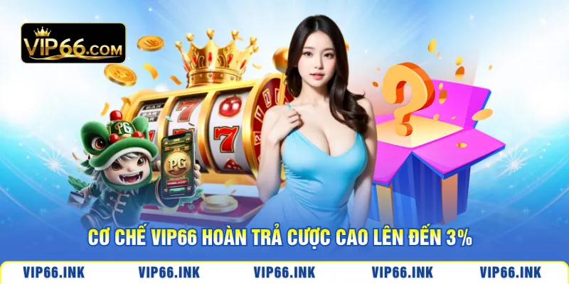 Cơ chế VIP66 Hoàn trả cược cao lên đến 3%