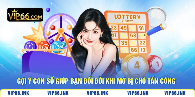 Gợi ý con số giúp bạn đổi đời khi mơ bị chó tấn công