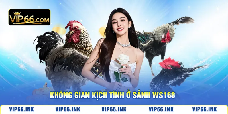 Không gian kịch tính ở Sảnh WS168