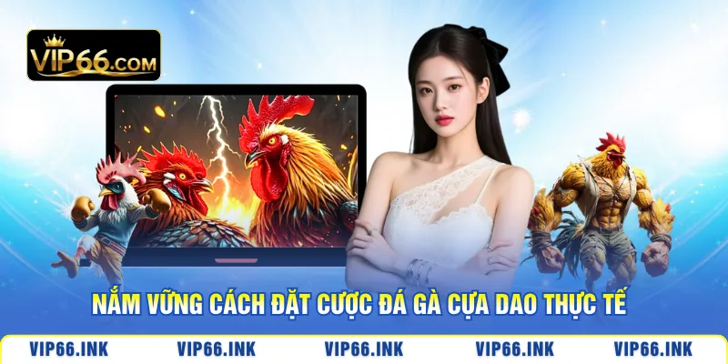 Nắm vững cách đặt cược đá gà cựa dao thực tế
