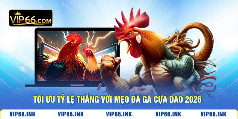 Tối ưu tỷ lệ thắng với mẹo đá gà cựa dao 2026